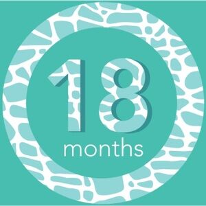 18 Months Baby Girl Clothes